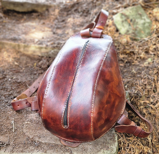 Beetle shell backpack